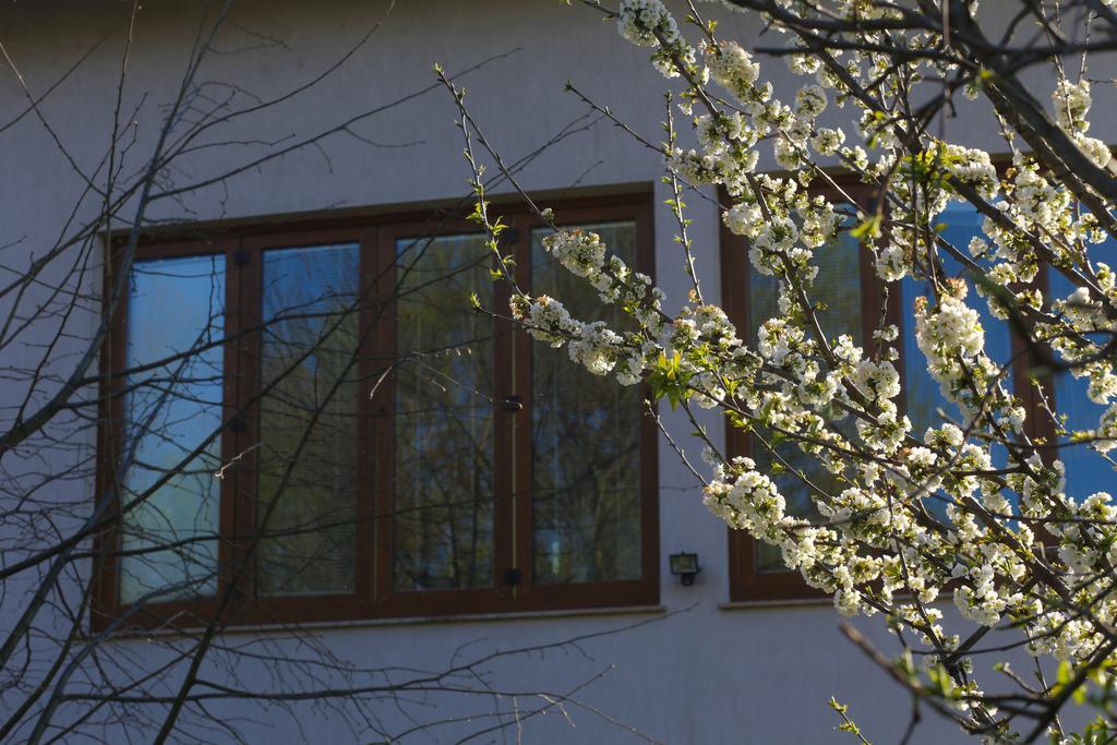 Farah Superior Apartments Bihać Exteriér fotografie